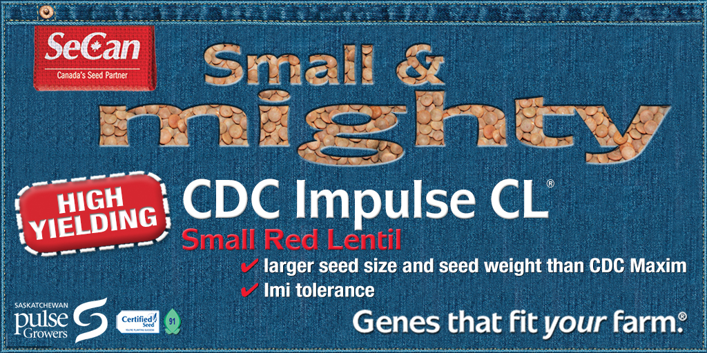 CDC Impulse CL® Lentils - Red