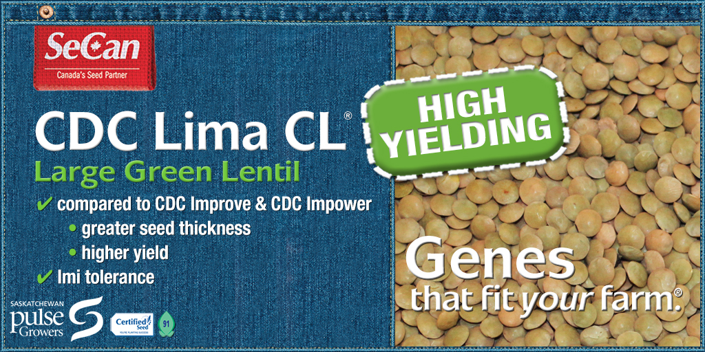 CDC Lima CL® Lentils - Large Green