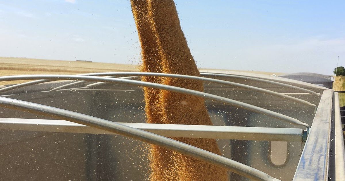 So What's Special About Transcend Durum
