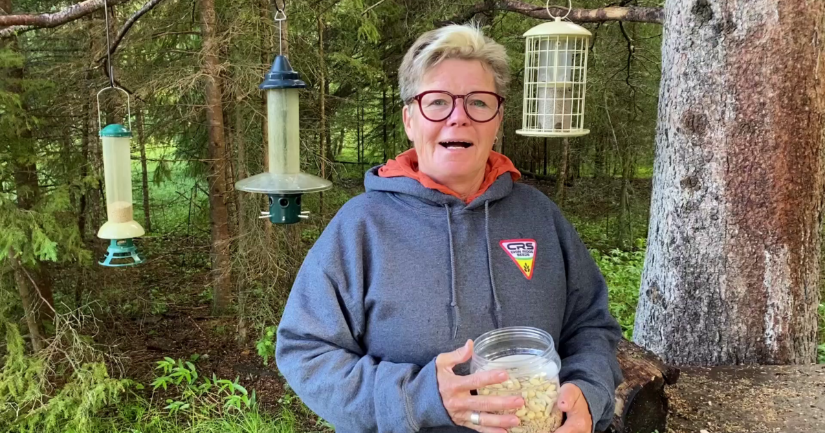 Ask Myrna - "How long does it take birds to find your bird feeders?"